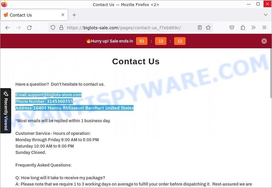 Biglots-sale.com scam store