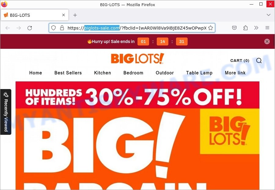 Biglots-sale.com scam