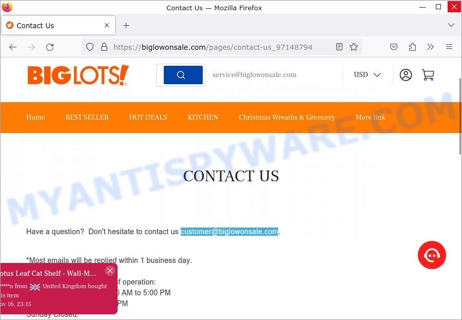 Biglowonsale.com Big Lots sale scam contacts