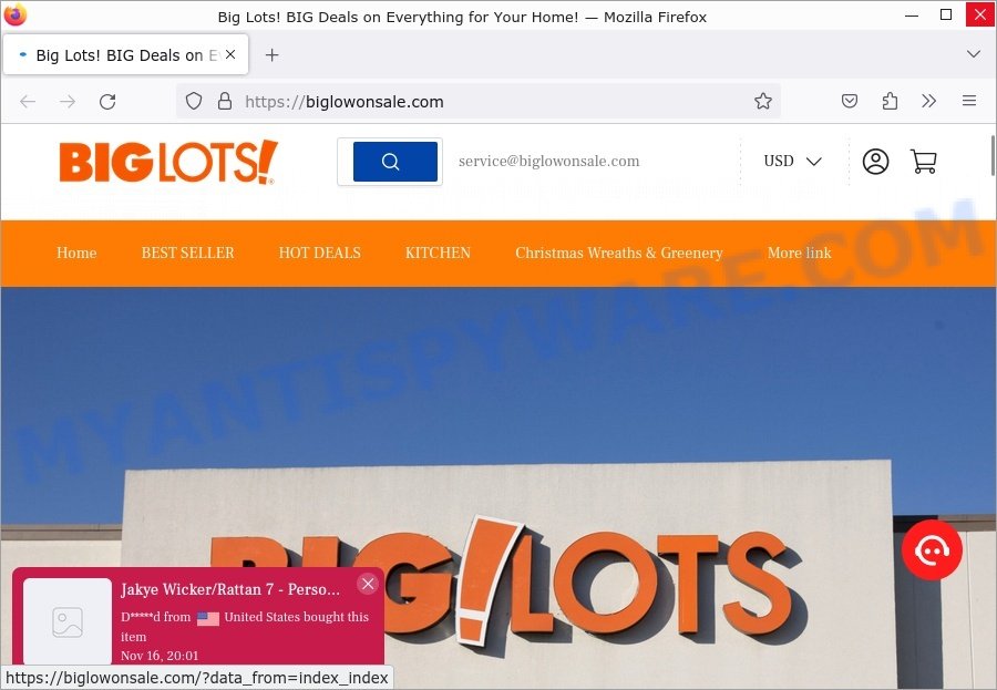 Biglowonsale.com Big Lots sale scam