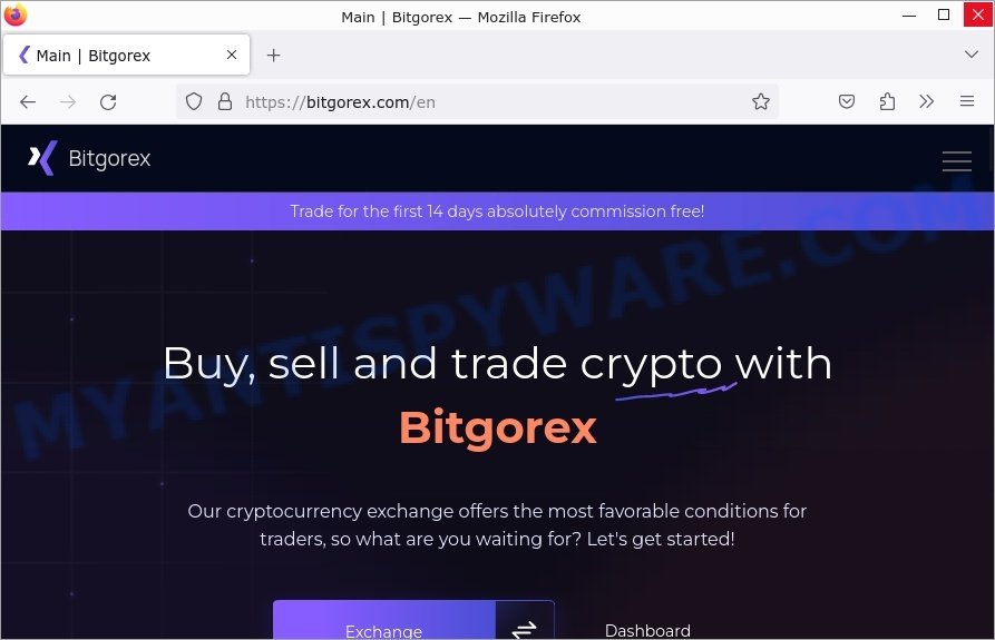 Bitgorex.com