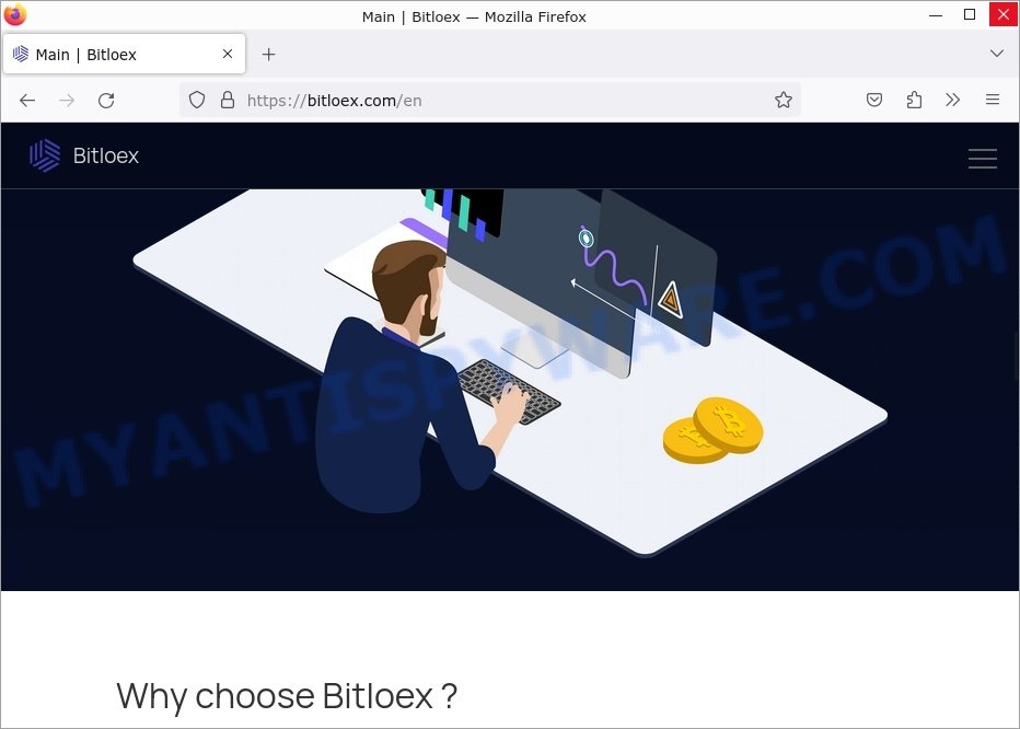 Bitloex.com scam