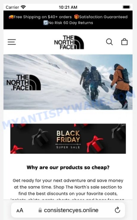 Consistencyes.online Fake North Face Sale Scam