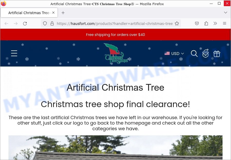 Hausfort.com Christmas Tree Shops Sale scam