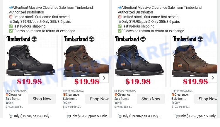 Hippopotamusca.com sale scam