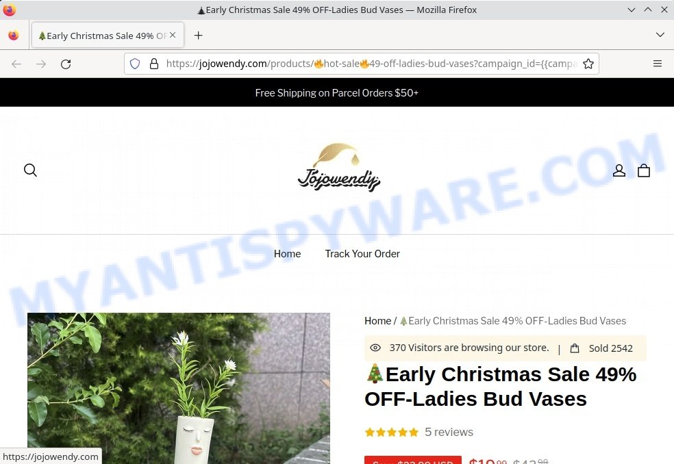 Jojowendy.com Early Christmas Sale Ladies Bud Vases Scam