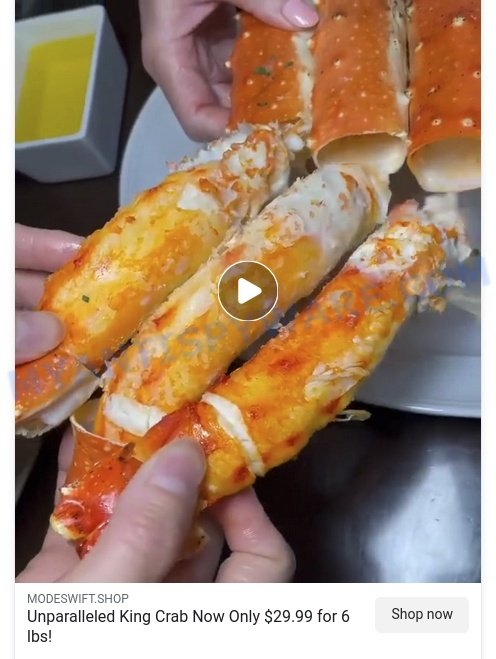 Modeswift.shop king crab Scam ads