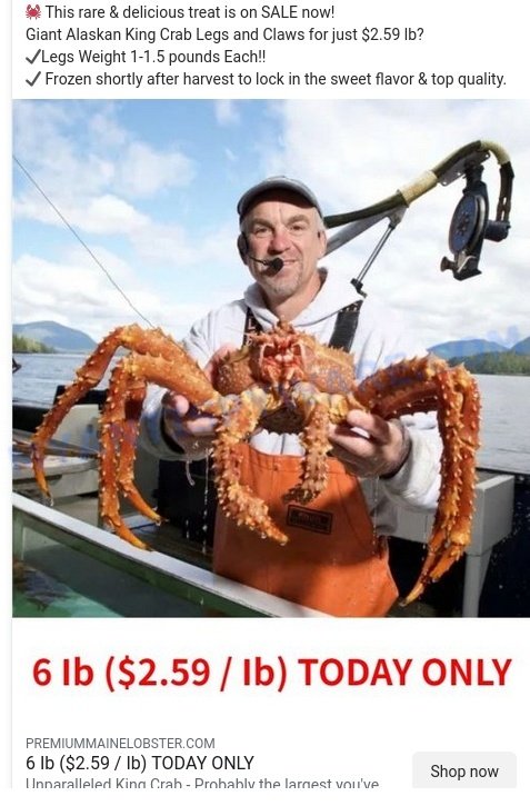 Premiummainelobster.com King Crab Scam ads