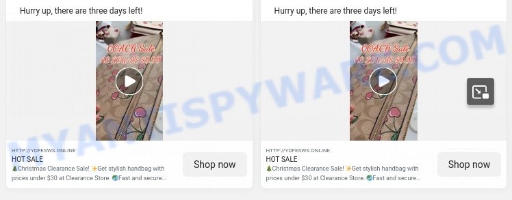 Serendipityxs.online COACH Sale scam ads