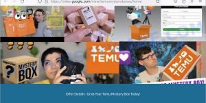Temu Mystery Box scam