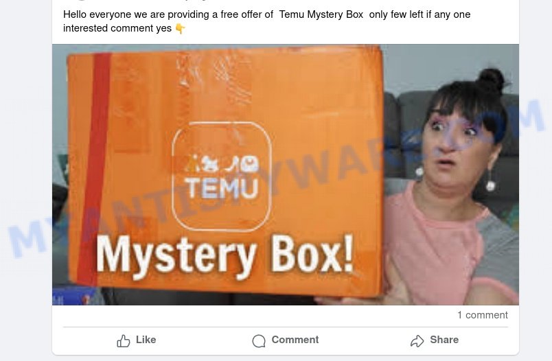 Temu Mystery Box scam facebook