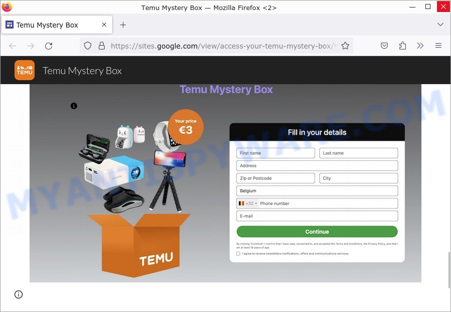 Temu Mystery Box scam online form