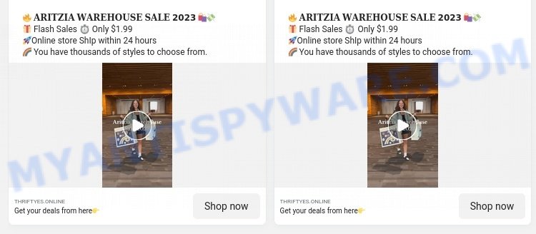 Thriftyes.online Aritzia Warehouse Sale scam ads