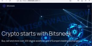 Bitsneek.com crypto scam