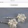 Caemia.com jewerly scam