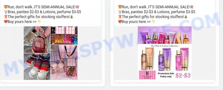 Camerae.online Victorias Secret scam