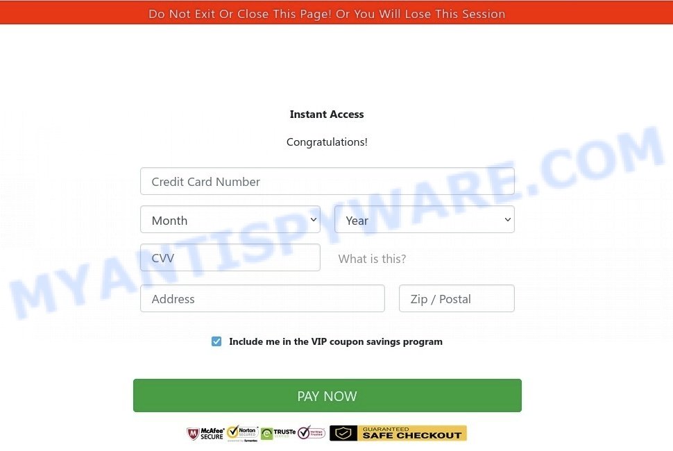 Elon Musk Gold Bar Giveaway Scam credit card form