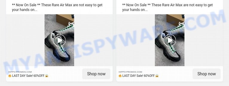 Hippo-promos.com ads