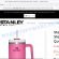 Stloutlet1913.com Stanley Tumbler Sale scam