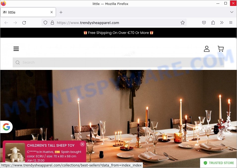 Trendysheapparel.com Zara Home Sale scam store