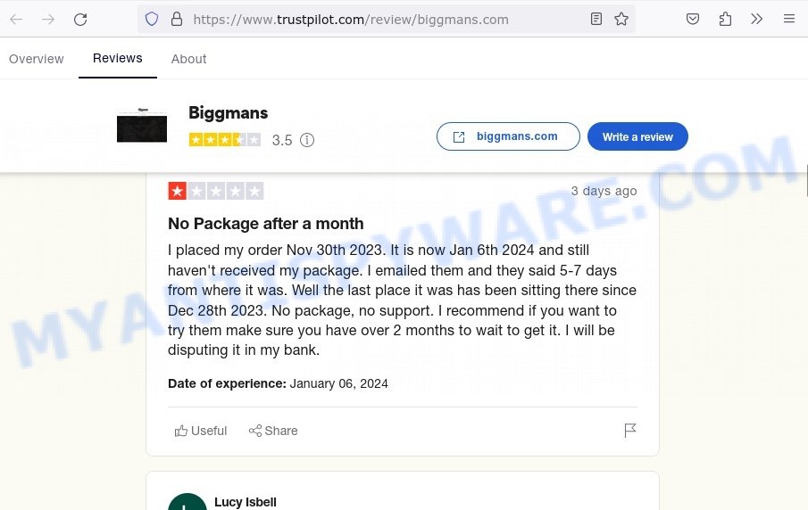 biggmans.com reviews