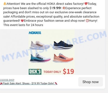 Cgoose.shop Hoka scam ads