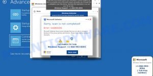 Error Ox800VDS pop-up scam