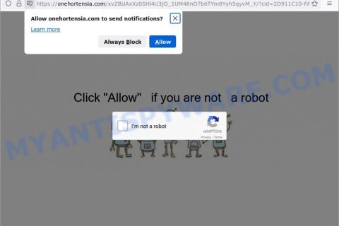 Click Allow Onehortensia.com scam