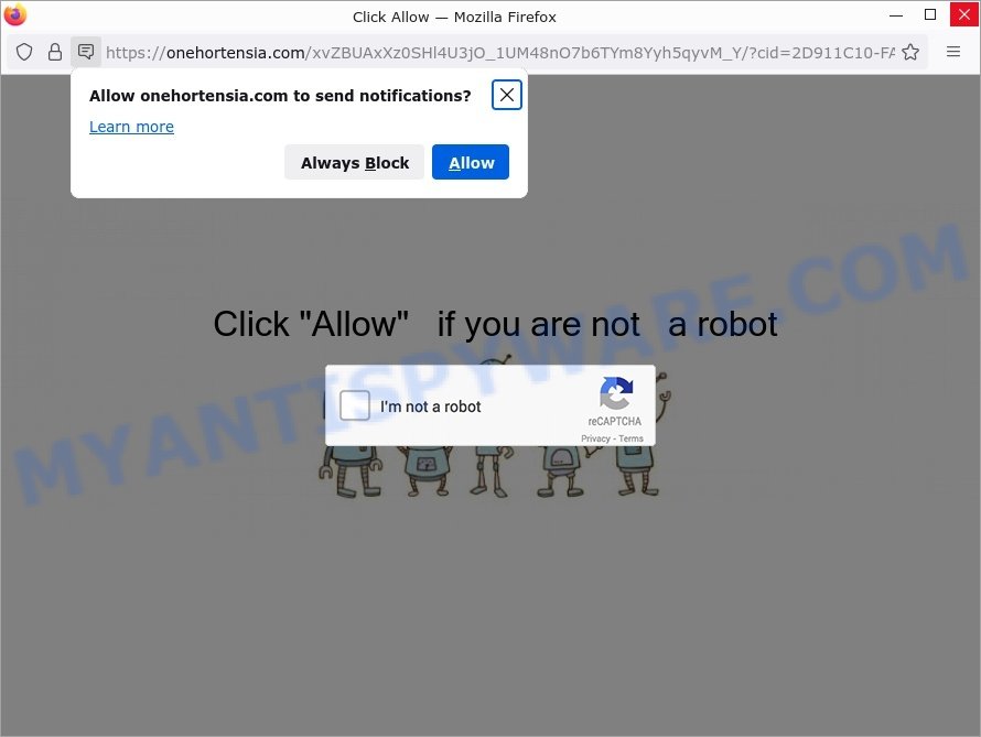 Click Allow Onehortensia.com scam