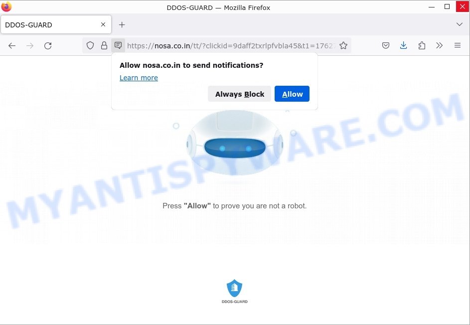 DDOS-GUARD Nosa.co.in scam