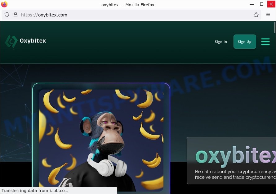 Oxybitex.com