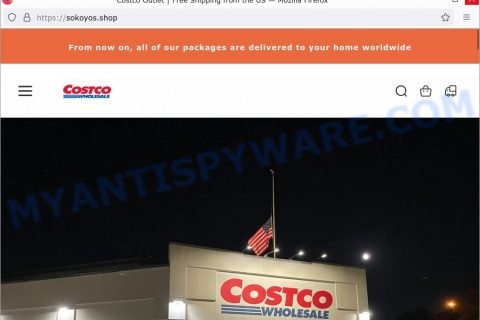 fake Costco Outlet scam Sokoyos.shop