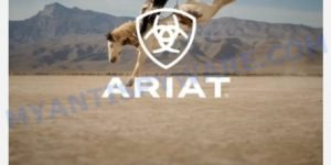 Ariatstore.shop fake Ariat scam
