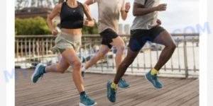 Asics.ink fake ASICS scam