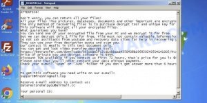 Baaa ransomware virus
