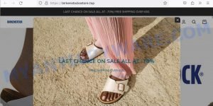 Birkenstocksstore.top fake Birkenstock scam