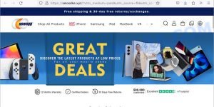 Seiosdke.xyz fake Newegg scam