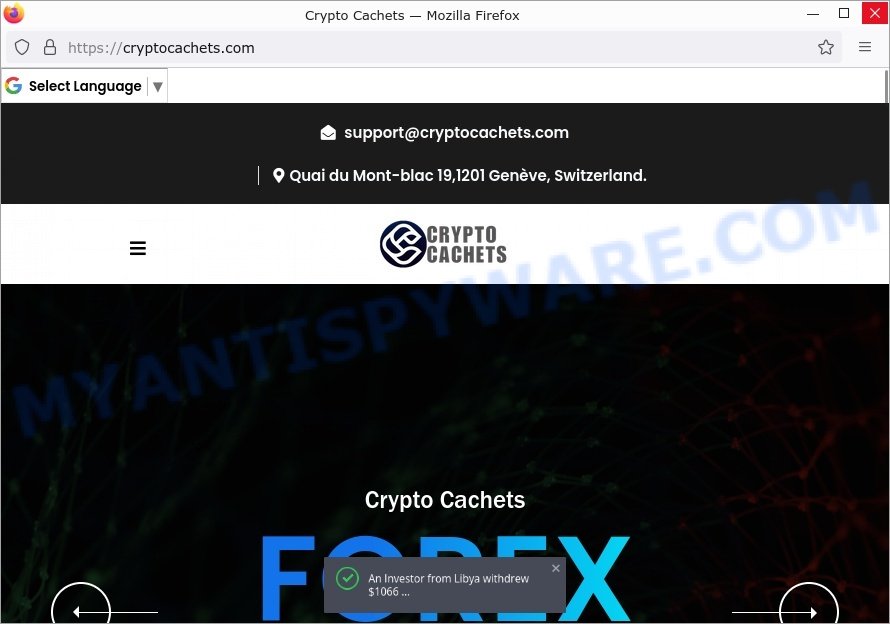 Crypto Cachets CryptoCachets.com