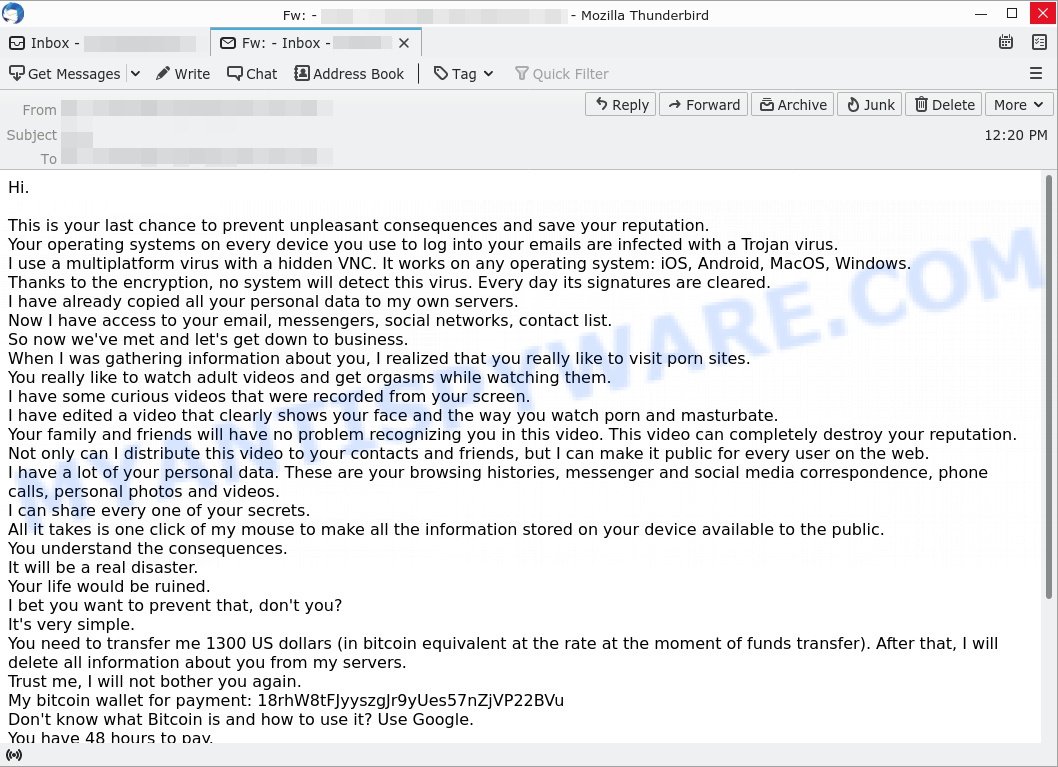 Last chance to prevent unpleasant consequences Email Scam