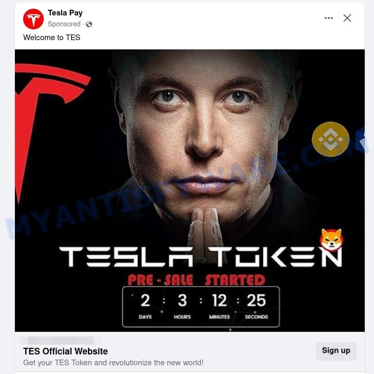 Tesla Token Pre-Sale Scam Facebook ads