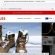 outerwearvip.shop fake Engelbert Strauss scam